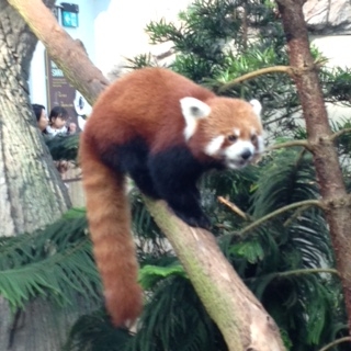 f:id:emike:20160708134339j:plain f:id:emike:20160708134339j:plain