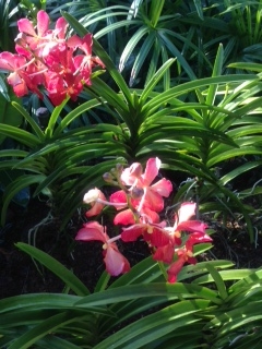 f:id:emike:20160710024121j:plain f:id:emike:20160710024121j:plain