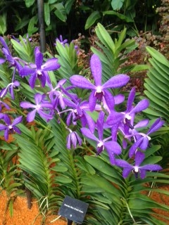 f:id:emike:20160710024122j:plain f:id:emike:20160710024122j:plain