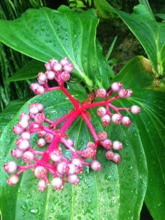 f:id:emike:20160710024128j:plain f:id:emike:20160710024128j:plain