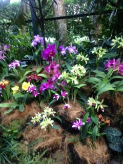 f:id:emike:20160710024132j:plain f:id:emike:20160710024132j:plain