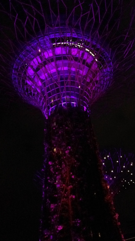 f:id:emike:20160710031234j:plain