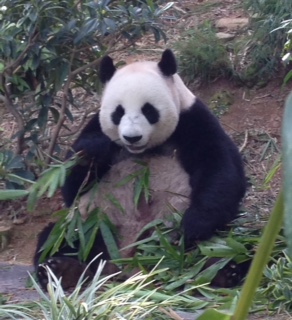 f:id:emike:20160710033136j:plain