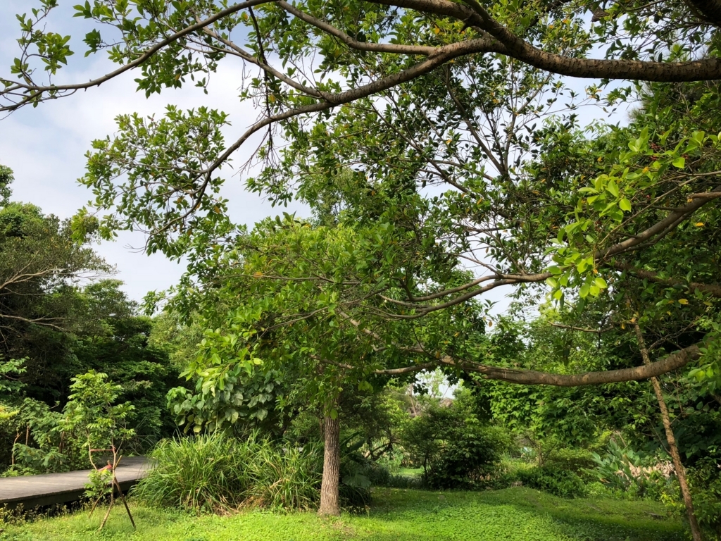 f:id:emike:20180406233513j:plain f:id:emike:20180406233513j:plain