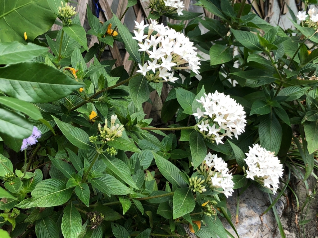 f:id:emike:20180407134115j:plain f:id:emike:20180407134115j:plain