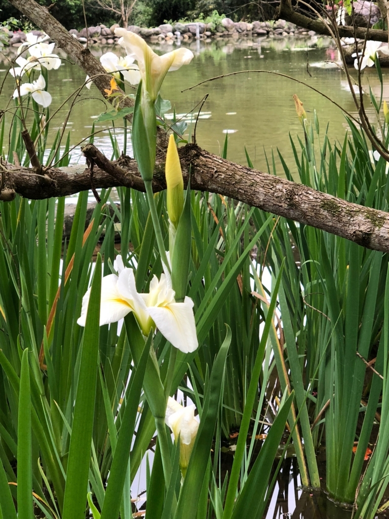 f:id:emike:20180408190509j:plain f:id:emike:20180408190509j:plain