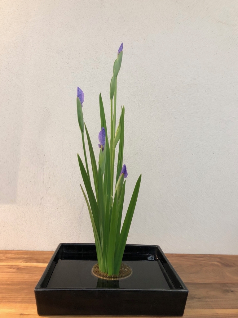 f:id:emike:20180529235125j:plain f:id:emike:20180529235125j:plain