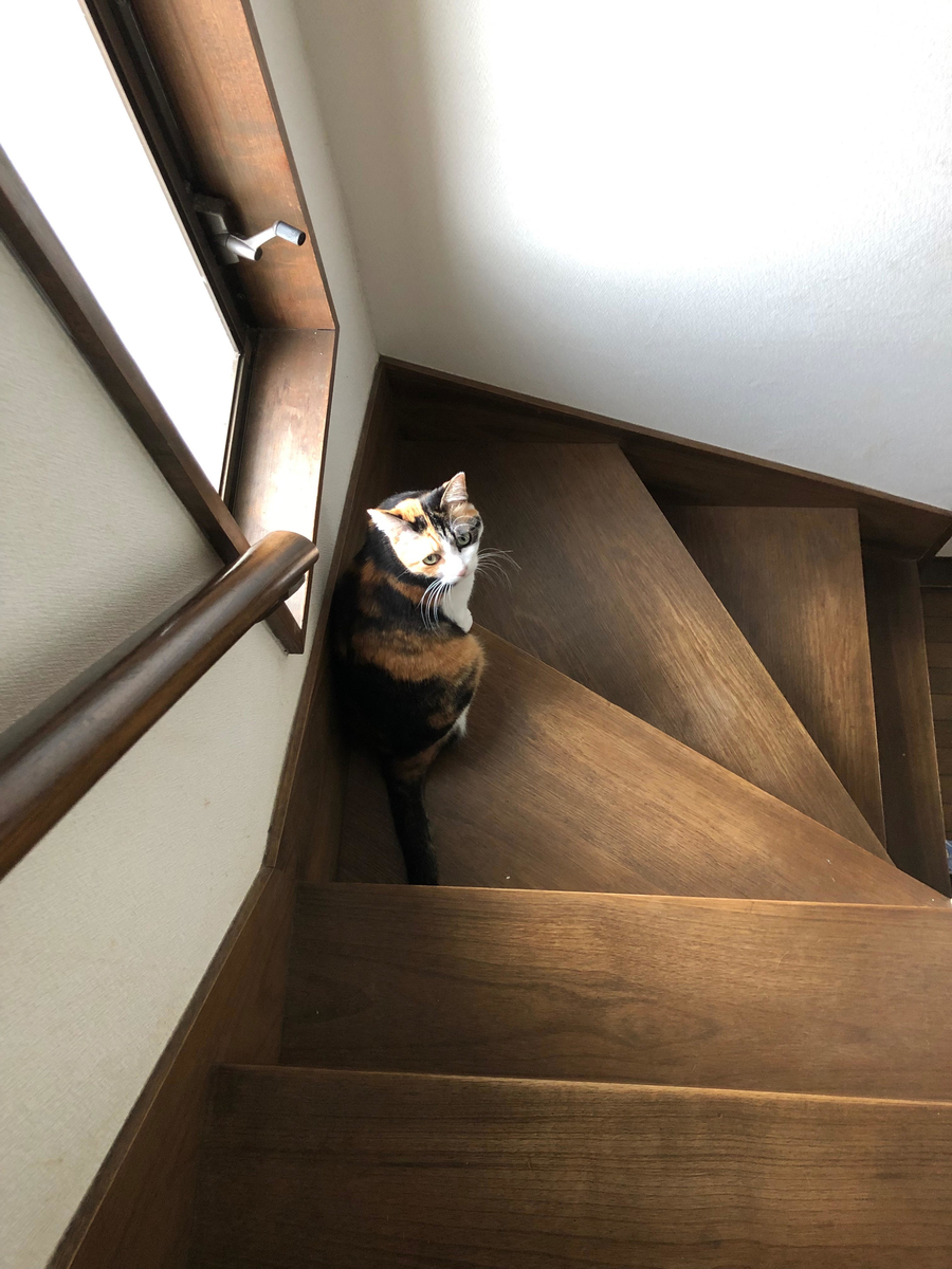 f:id:emike:20190425213514j:plain f:id:emike:20190425213514j:plain