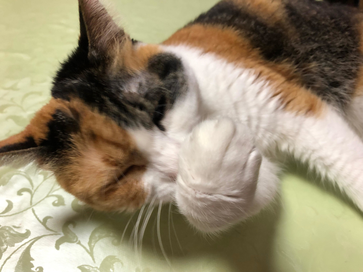 f:id:emike:20190430225059j:plain f:id:emike:20190430225059j:plain