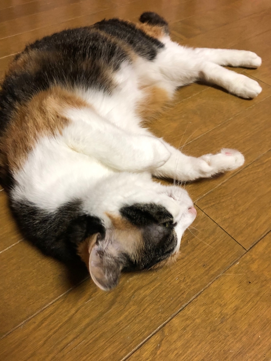f:id:emike:20190520191052j:plain f:id:emike:20190520191052j:plain