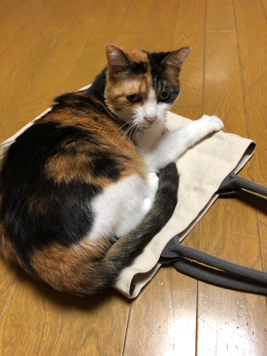 f:id:emike:20190531225845j:plain f:id:emike:20190531225845j:plain