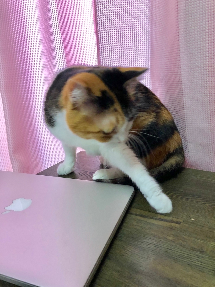 f:id:emike:20190610223849j:plain f:id:emike:20190610223849j:plain