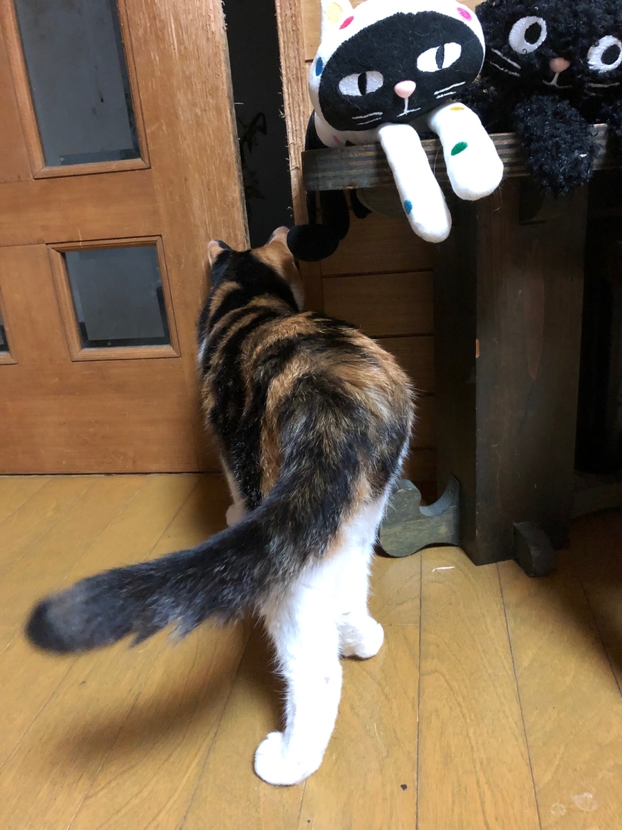 f:id:emike:20190702234648j:plain f:id:emike:20190702234648j:plain