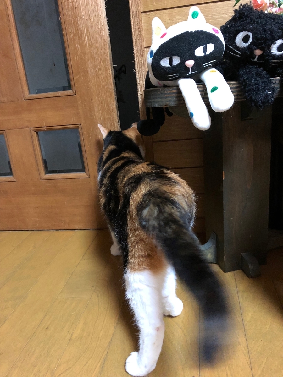 f:id:emike:20190702234652j:plain f:id:emike:20190702234652j:plain