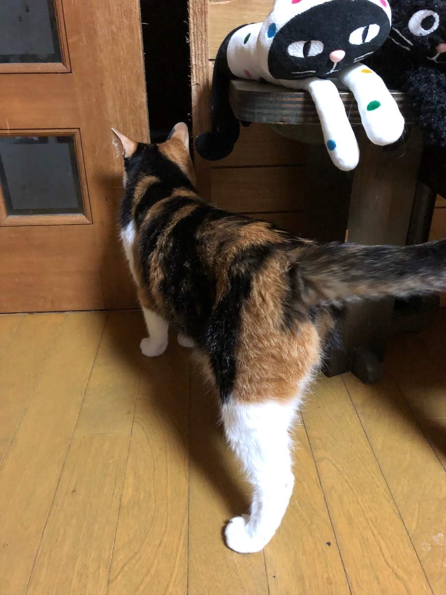 f:id:emike:20190702234658j:plain f:id:emike:20190702234658j:plain