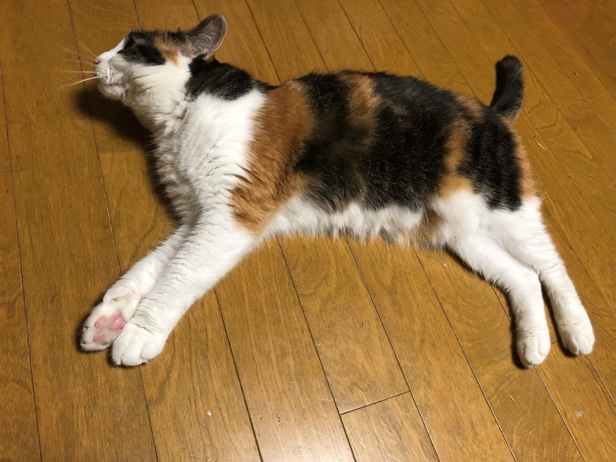 f:id:emike:20190704233657j:plain f:id:emike:20190704233657j:plain