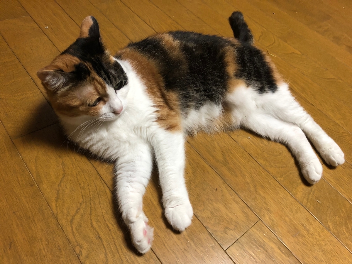 f:id:emike:20190704233703j:plain f:id:emike:20190704233703j:plain