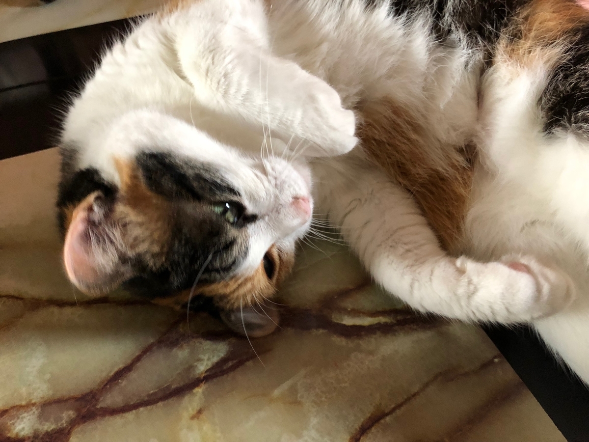 f:id:emike:20190707202146j:plain f:id:emike:20190707202146j:plain