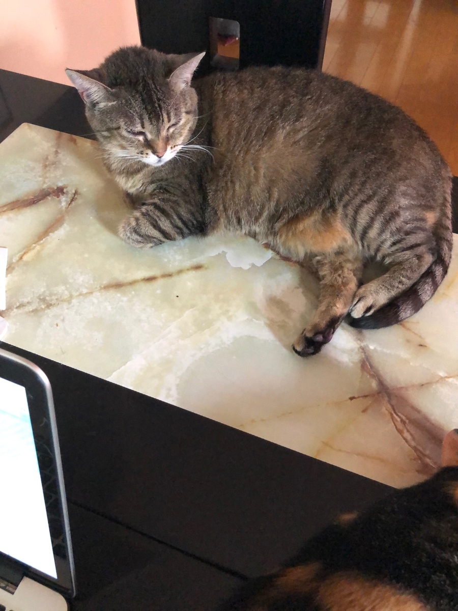 f:id:emike:20190707202252j:plain f:id:emike:20190707202252j:plain