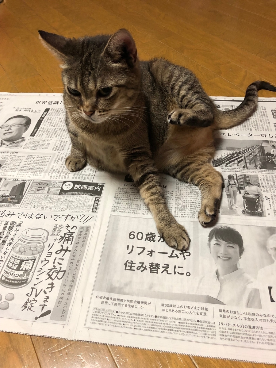 f:id:emike:20190709233151j:plain f:id:emike:20190709233151j:plain