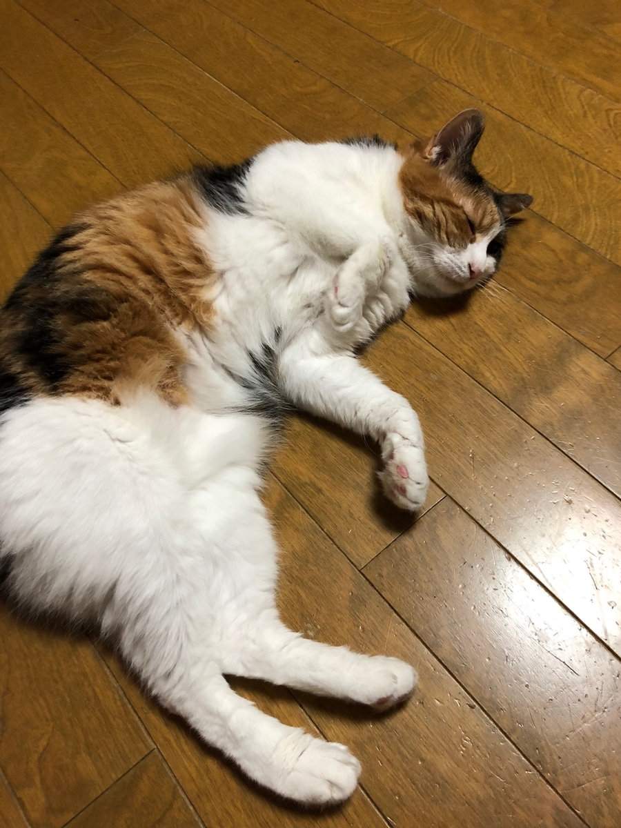 f:id:emike:20190716210725j:plain f:id:emike:20190716210725j:plain