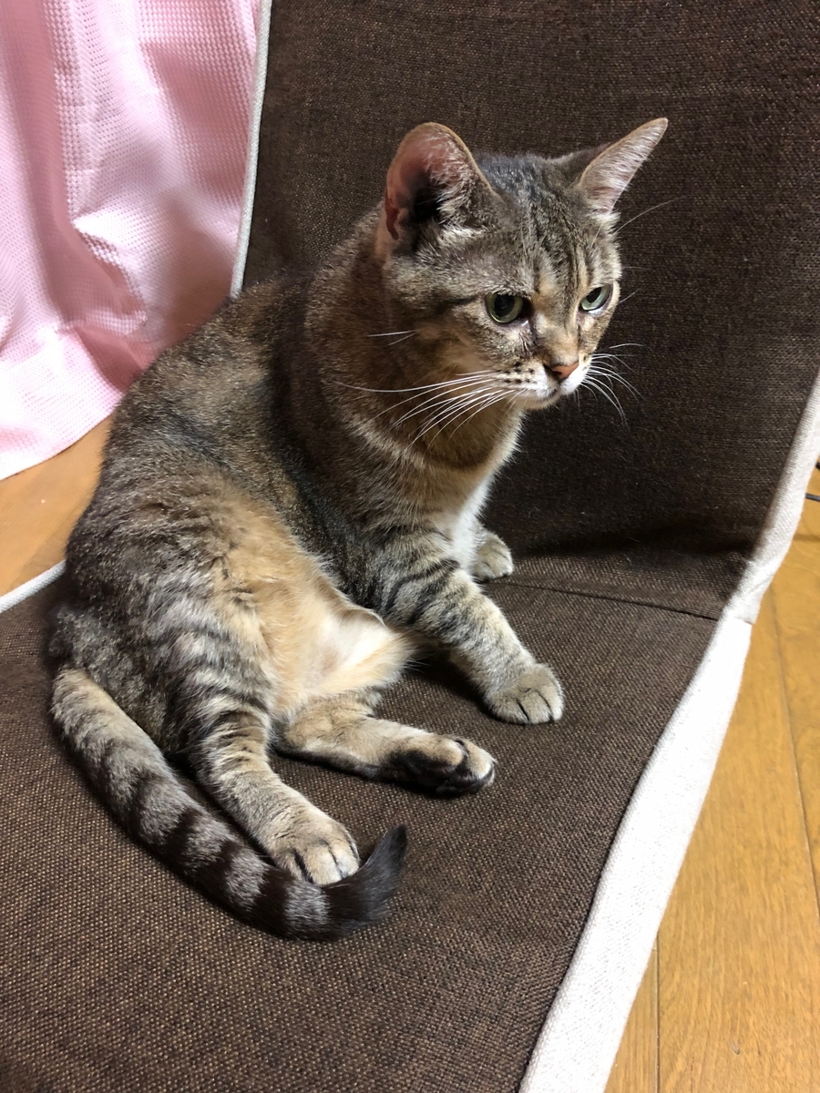 f:id:emike:20190716210742j:plain f:id:emike:20190716210742j:plain