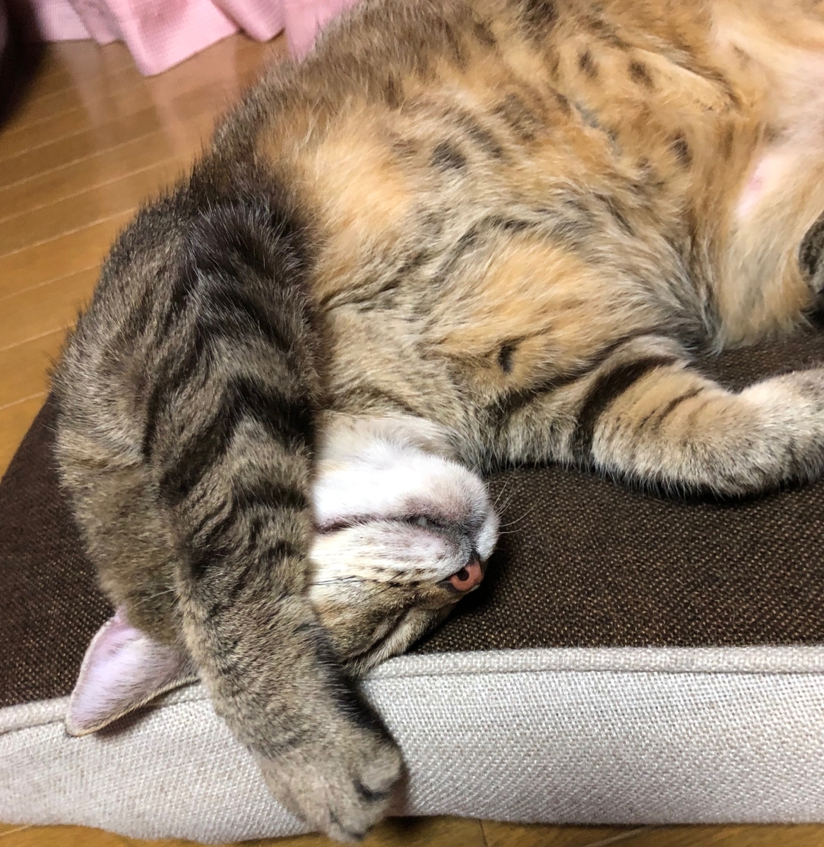 f:id:emike:20190718234746j:plain f:id:emike:20190718234746j:plain