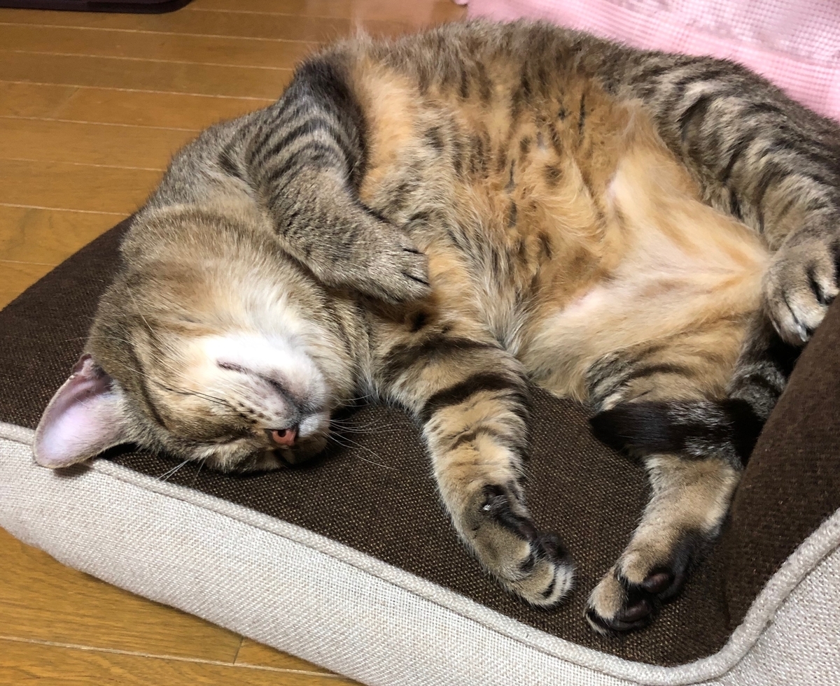 f:id:emike:20190718234812j:plain f:id:emike:20190718234812j:plain
