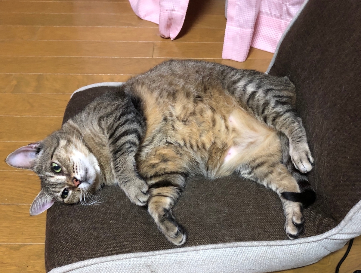 f:id:emike:20190722205549j:plain f:id:emike:20190722205549j:plain