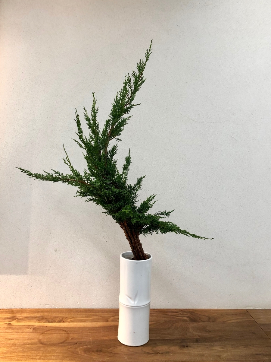 f:id:emike:20190803234533j:plain f:id:emike:20190803234533j:plain