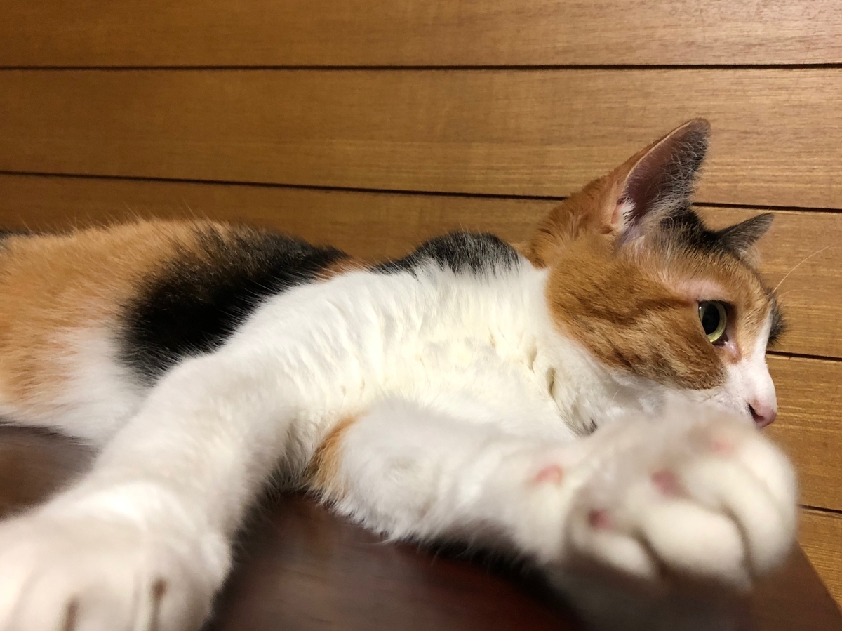 f:id:emike:20190809235550j:plain f:id:emike:20190809235550j:plain