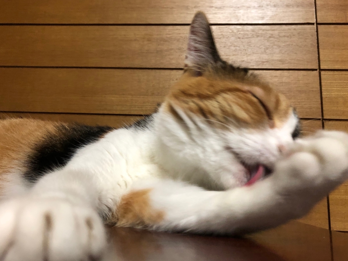 f:id:emike:20190809235556j:plain f:id:emike:20190809235556j:plain