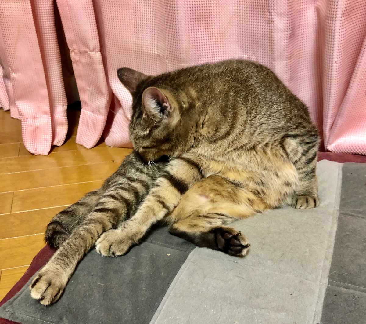 f:id:emike:20190822235944j:plain f:id:emike:20190822235944j:plain
