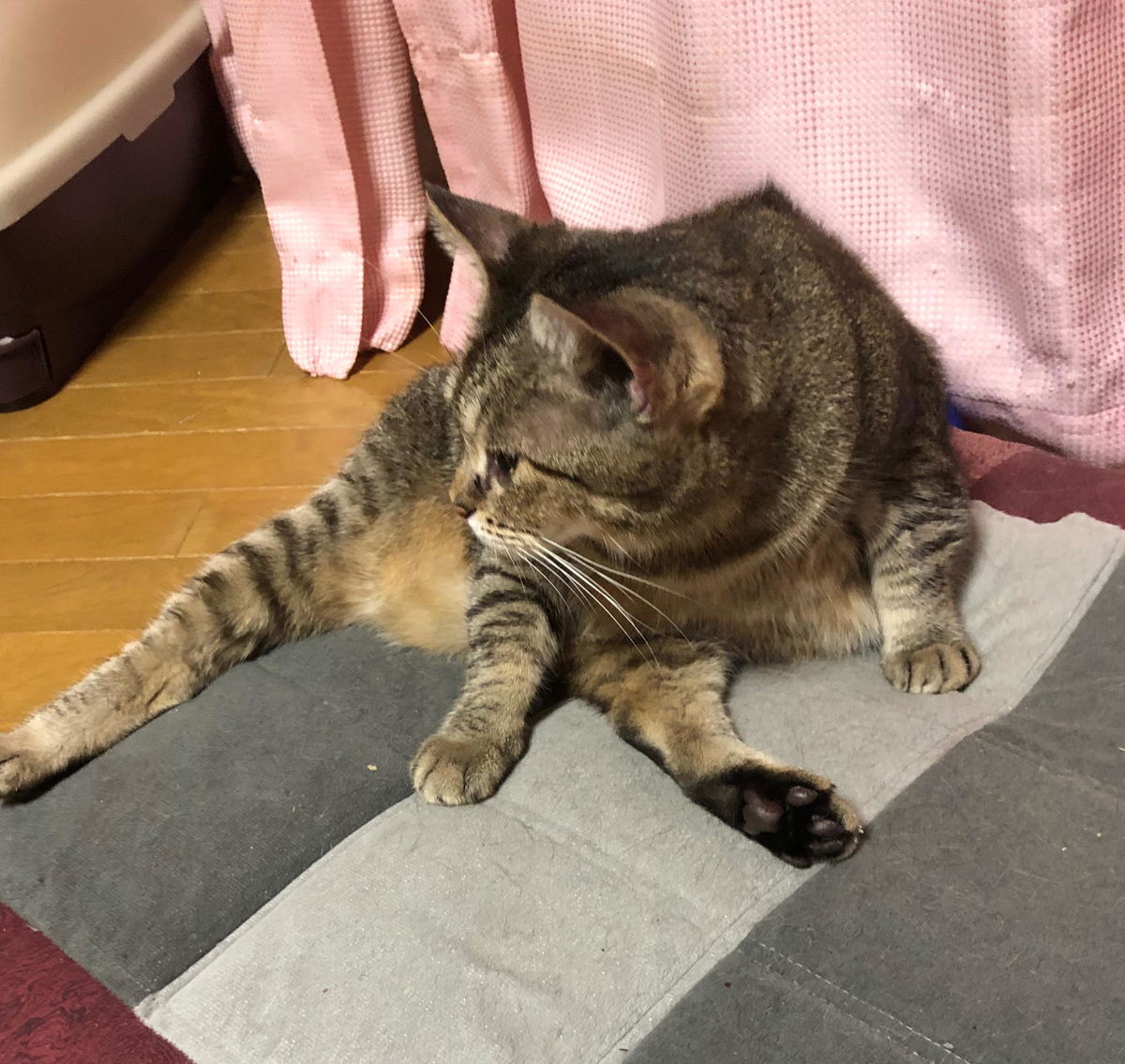 f:id:emike:20190822235949j:plain f:id:emike:20190822235949j:plain