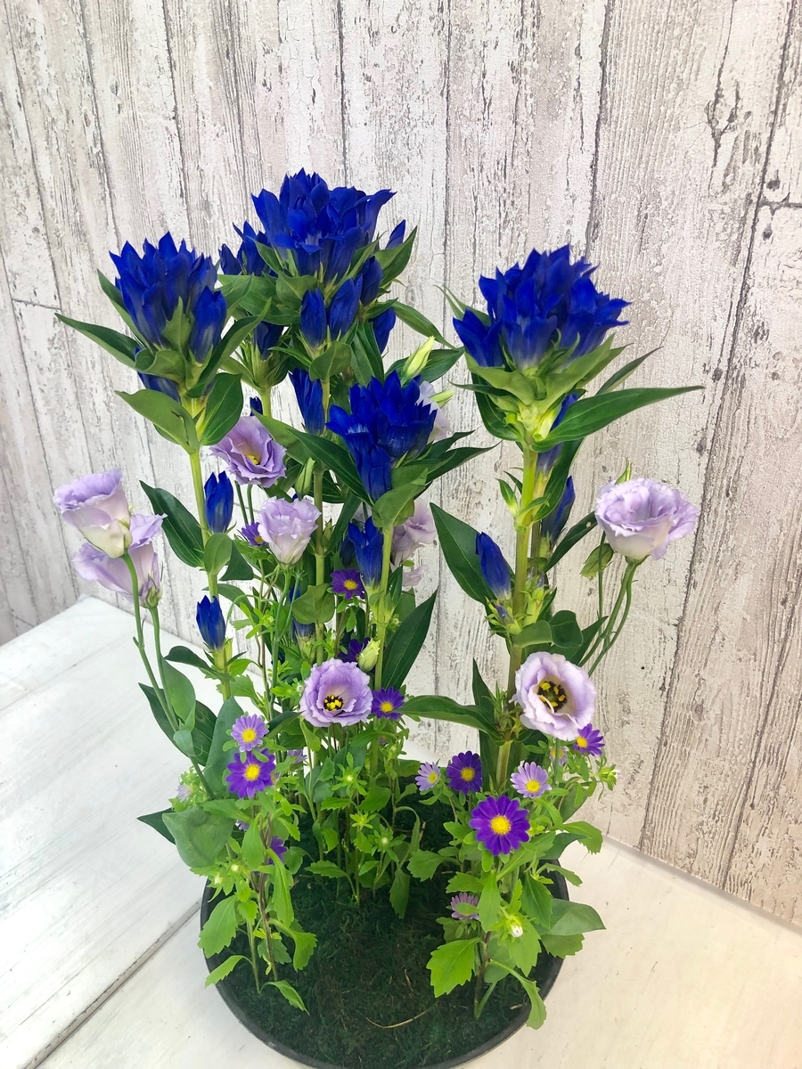 f:id:emike:20190912234629j:plain f:id:emike:20190912234629j:plain