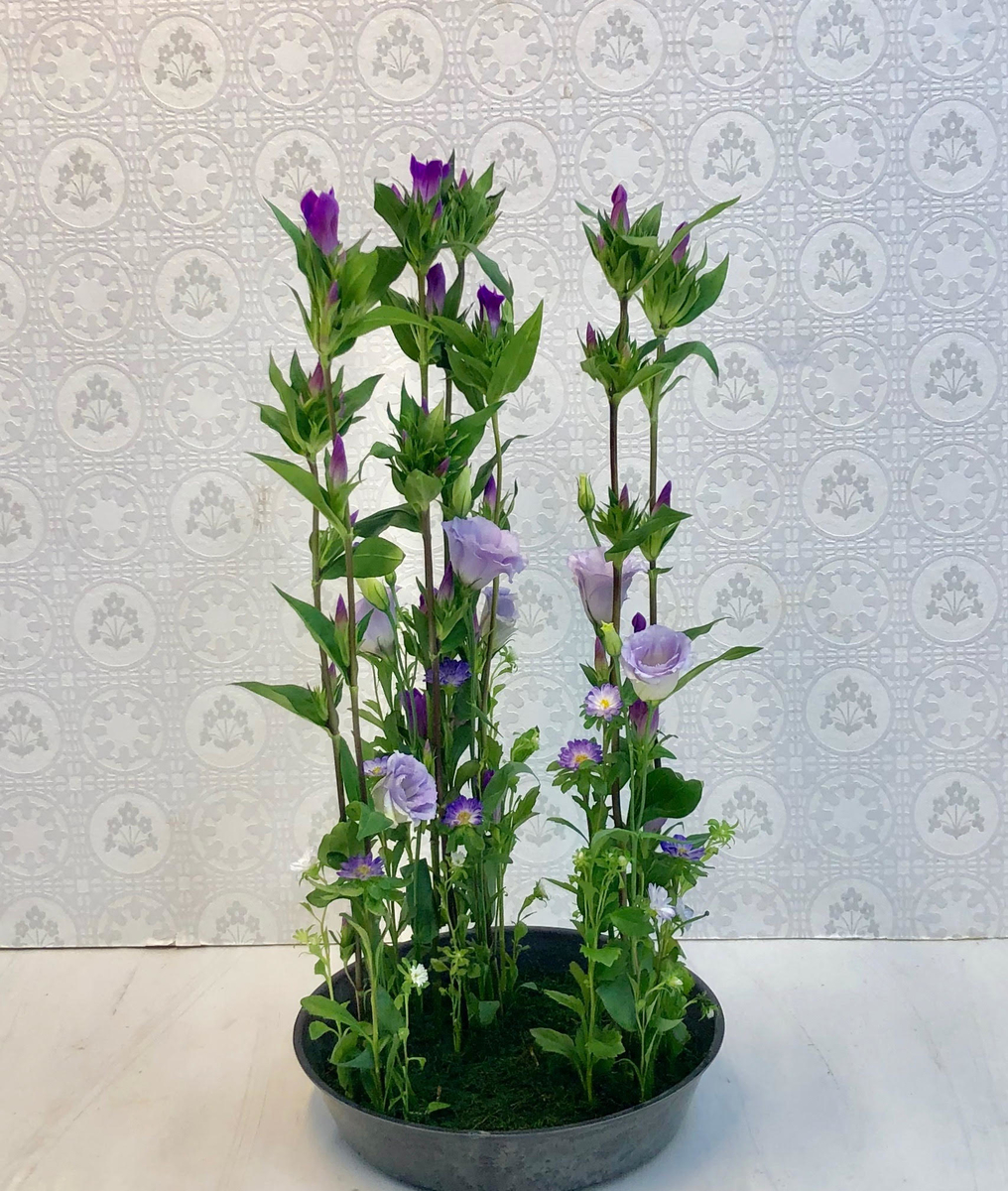 f:id:emike:20190919234358j:plain f:id:emike:20190919234358j:plain