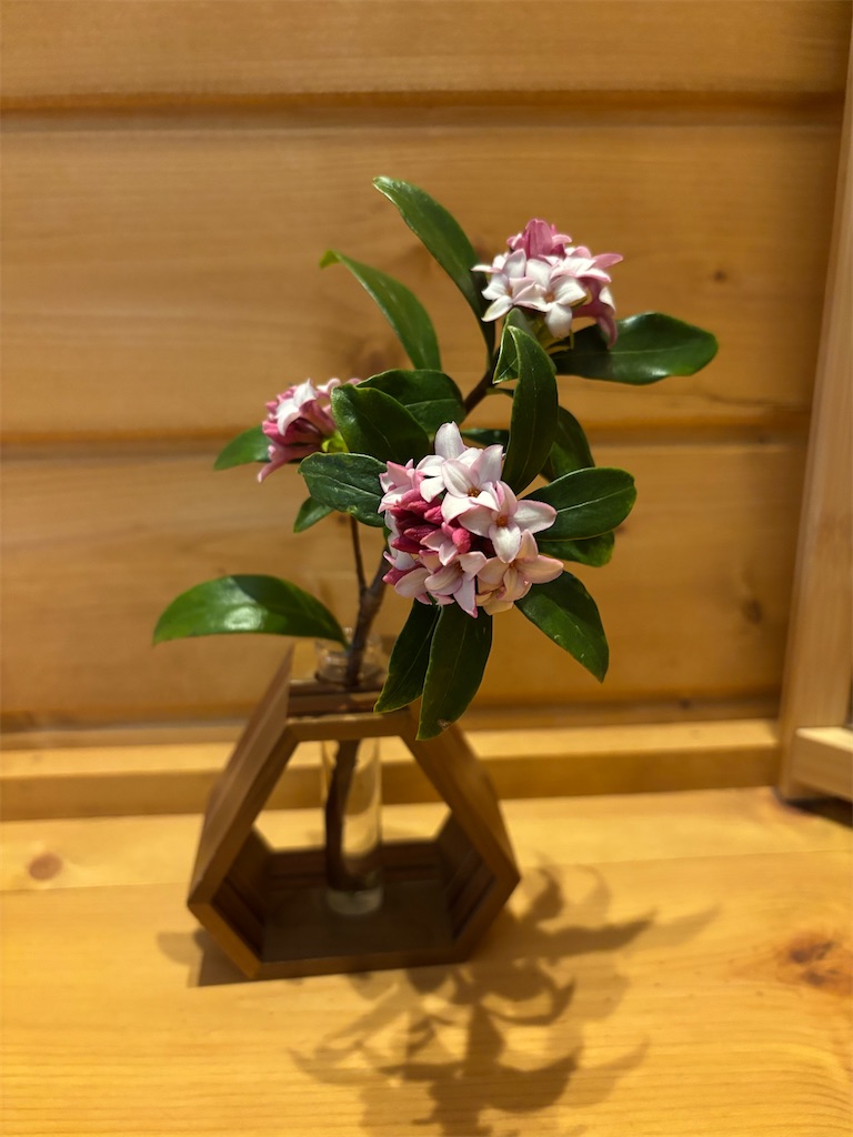 f:id:emiko_ma3:20260328170420j:image f:id:emiko_ma3:20260328170420j:image