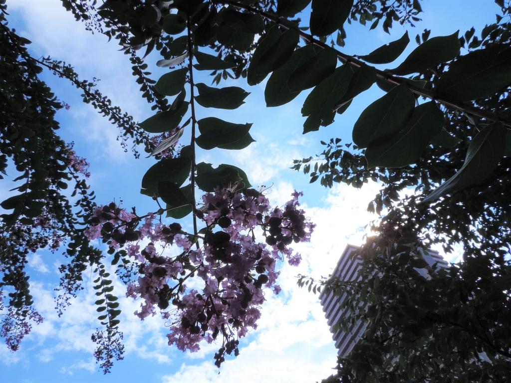 f:id:emikosorakara2:20160907175906j:plain f:id:emikosorakara2:20160907175906j:plain