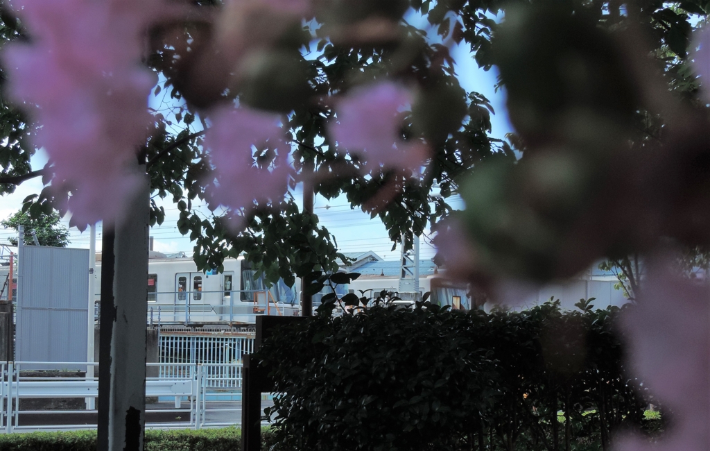 f:id:emikosorakara2:20160907175922j:plain f:id:emikosorakara2:20160907175922j:plain