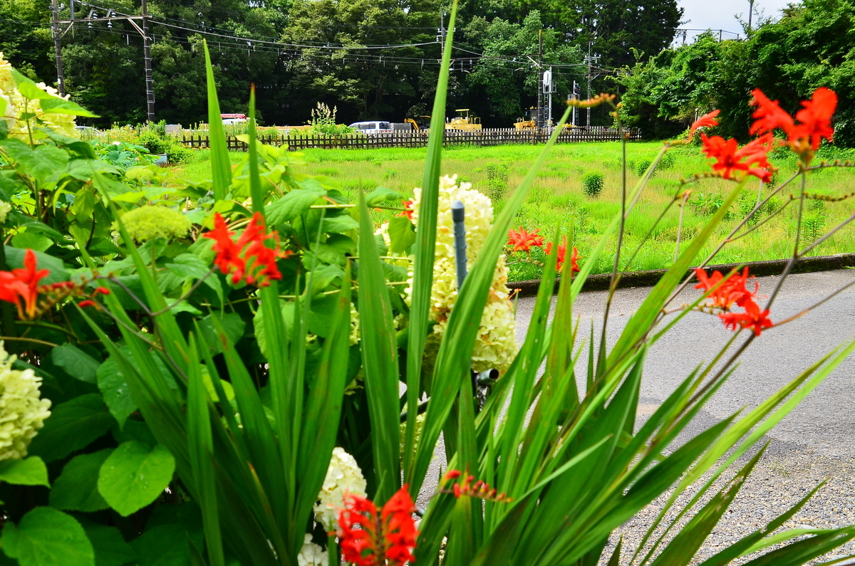 f:id:emikosorakara2:20190717194802j:plain f:id:emikosorakara2:20190717194802j:plain