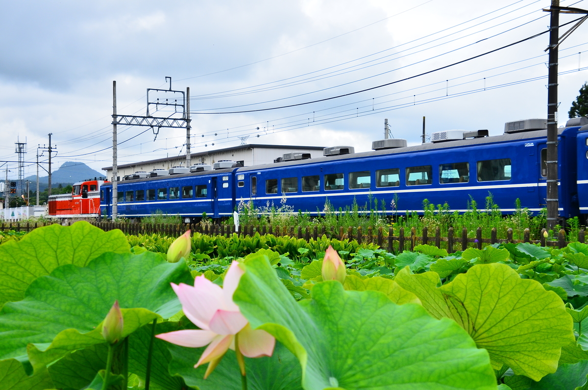 f:id:emikosorakara2:20190723220910j:plain