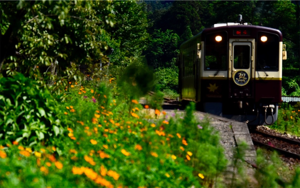 f:id:emikosorakara2:20190806222650j:image f:id:emikosorakara2:20190806222650j:image