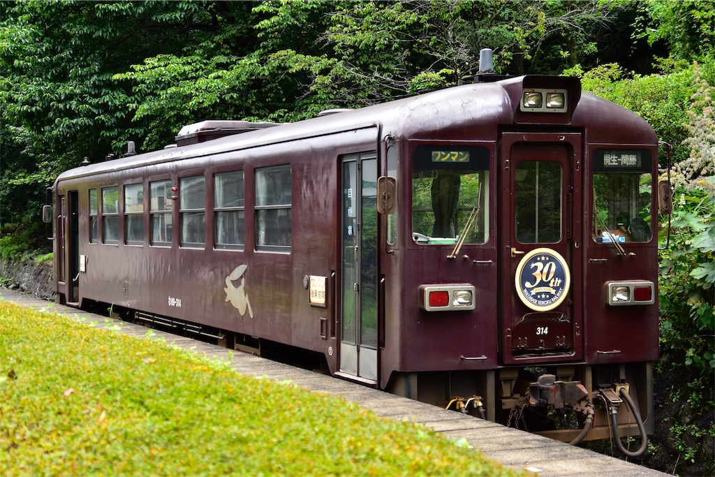 乗り鉄おすすめ!鉄道トラベラーズ 小湊鉄道・わたらせ渓谷鉄道・大井川鉄道の巻 [DVD] 乗り鉄おすすめ！鉄道トラベラーズ 小湊鉄道・わたらせ渓谷鉄道