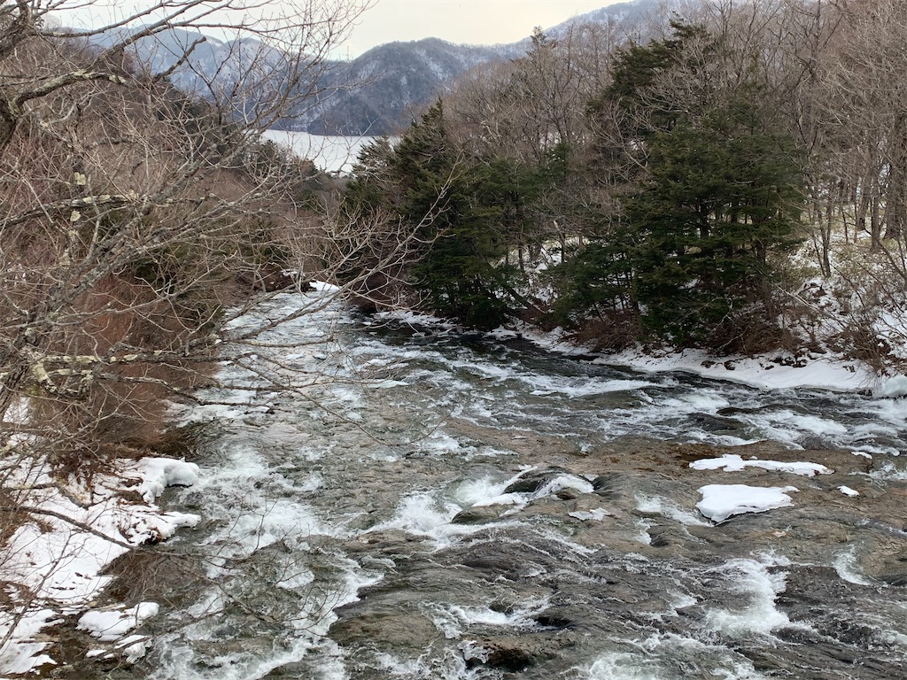 f:id:emikosorakara2:20200112221208j:image