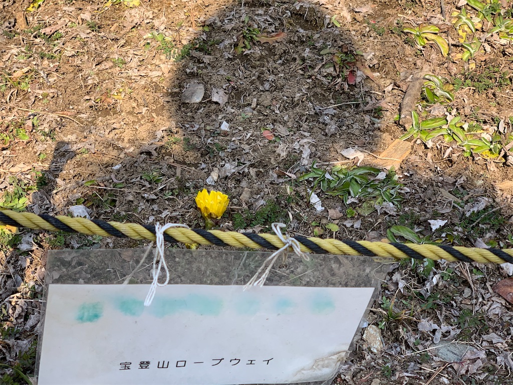 f:id:emikosorakara2:20200210213217j:image f:id:emikosorakara2:20200210213217j:image