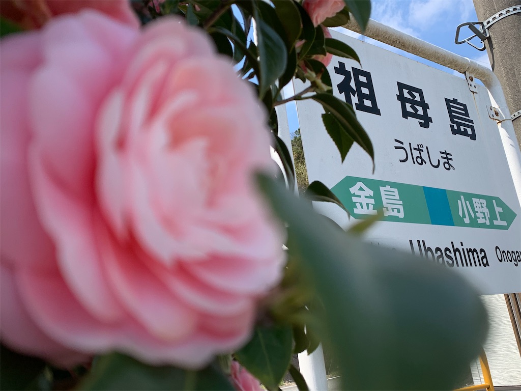 f:id:emikosorakara2:20210407210009j:image f:id:emikosorakara2:20210407210009j:image