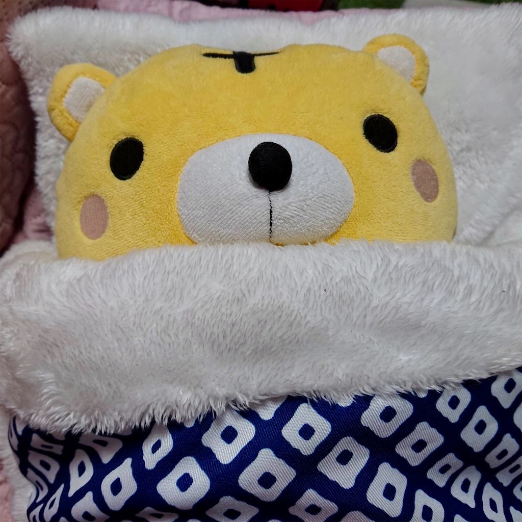 f:id:emikosorakara2:20211110122916j:image