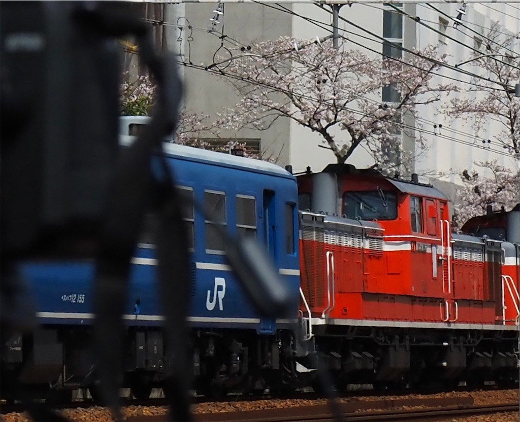 f:id:emikosorakara2:20220331235252j:image f:id:emikosorakara2:20220331235252j:image