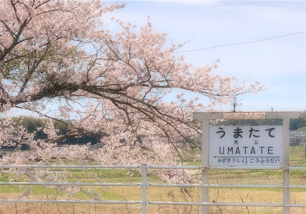 f:id:emikosorakara2:20220421215137j:image f:id:emikosorakara2:20220421215137j:image