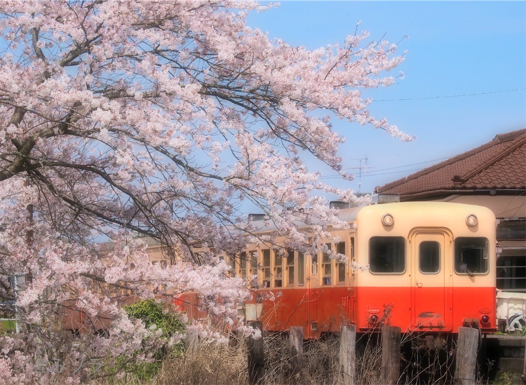 f:id:emikosorakara2:20220421215145j:image f:id:emikosorakara2:20220421215145j:image